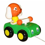 Dog in car coloured
