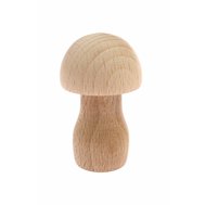 Small mushroom II - natural