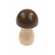 Small mushroom II - coloured