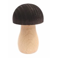 Big mushroom - coloured